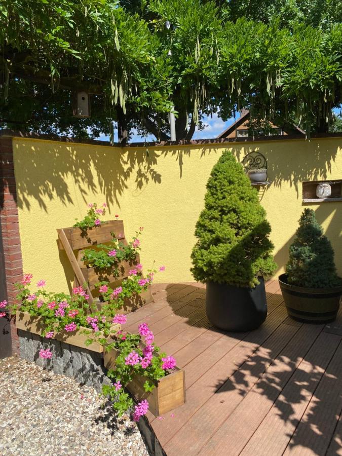 Homestay Sto Hannover